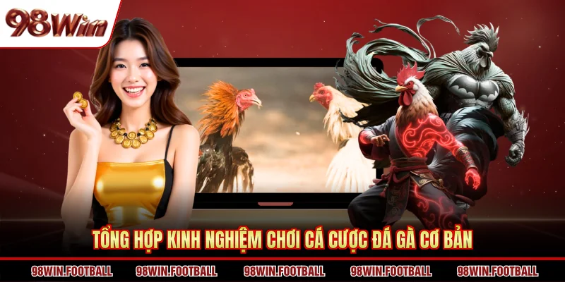 Tổng hợp kinh nghiệm chơi cá cược đá gà cơ bản