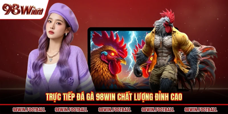 Trực tiếp đá gà 98win chất lượng đỉnh cao